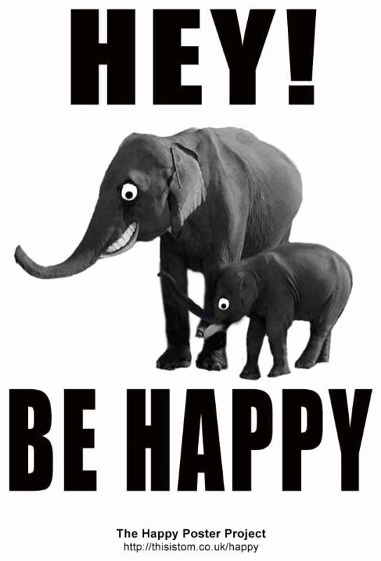 hey se feliz.jpg